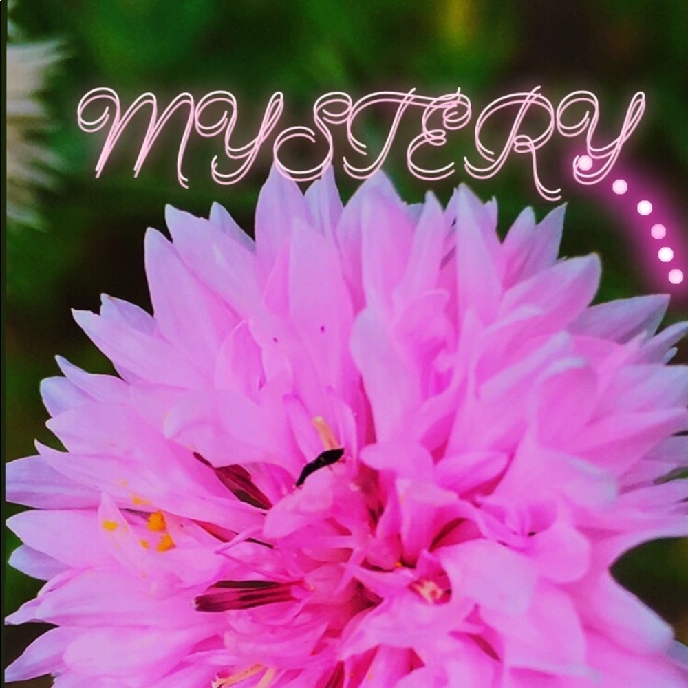 10 piece mystery bundle